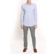 Avery Oxford Shirt